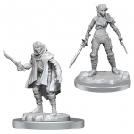 D&D Nolzur's Marvelous Miniatures - Elf Rogue & Half-Elf Rogue Prot&eacute;g&eacute; Figūrėlės