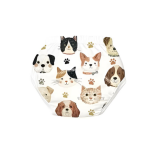 PupiStop mokomosios kelnaitės - atprastukės (NAUJIENA)