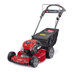 Toro Recycler S55A &ndash; 55 cm ADS savaeigė vejapjovė su Briggs 163cc varikliu