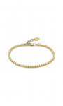 LOTUS STYLE LS2244-2/2
