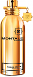 Montale Amber Musk Parfumuotas vanduo - testeris, 50 ml