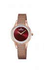 FESTINA 20496/1 - Laikrodis moterims