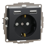 Ki&scaron;tukinis lizdas su įžeminimu Schneider Electric Sedna Design SDD114052 (antracitas, 2xUSB-A)