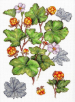 Kryželiu siuvinėjimo rinkinys &bdquo;&Scaron;iaurinė uoga&ldquo; su uogų motyvu, 28 x 19 cm, 16 ct balta drobelė