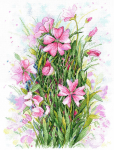 Siuvinėjimas kryželiu &bdquo;Gėlių simfonija&ldquo; &mdash; DMC, Zweigart 33&times;23 cm