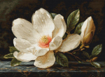 Luca‑S &bdquo;Magnolijos rasa&ldquo; &mdash; eleganti&scaron;ka kryželiu siuvinėjimo kompozicija, 38&times;28 cm