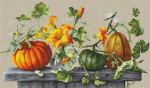 Pumpkin SB2303 &ndash; Luca-s siuvinėjimo rinkinys su Zweigart Aida 16 ir Anchor siūlais (46,5&times;27 cm)