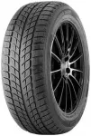 DOUBLESTAR DW09 255/55R20 107H 3PMSF RP