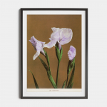 Plakatas K. Ogawa Violetinis vilkdalgis