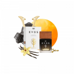 K2 Pur&scaron;kiamas Oro Gaiviklis - Evos Samurai