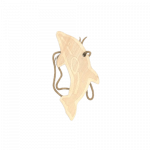 K2 Pakabinamas Oro Gaiviklis - Woody Green Tea