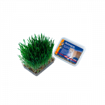 Nobby žolė katėms