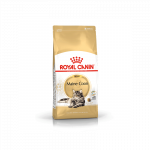 Royal Canin Maine Coon sausas kačių maistas, 2 kg