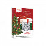 Wanpy kalėdinis advento kalendorius katėms, 100 g