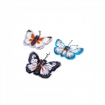 Nobleza drugelis su katžole žaislas katėms, 1 vnt.