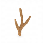 Happet Coconut Branch kokoso &scaron;aka terariumams, 40 cm