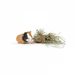 Happet medinis tunelis graužikams