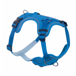 Nobby Mailo mėlynos petne&scaron;os &scaron;uniui, S, 23&ndash;35 cm