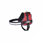 Nobby Seguro raudonos petne&scaron;os &scaron;unims, M, 60&ndash;75 cm