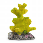 Happet geltonas koralas akvariumo dekoracija