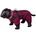 Nobby Elor 2in1 bordo striukė &scaron;uniui, 48 cm