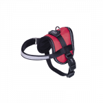 Nobby Seguro Mini raudonos petne&scaron;os &scaron;unims, 31&ndash;40 cm