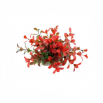 Happet raudonas, dirbtinis augalas akvariumams, 10 cm