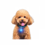 Nobleza LED &scaron;viečiantis pakabukas ant antkaklio &scaron;unims, 5,3x3,2 cm