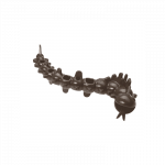 Ecomfy Olive Snacky Worm žaislas &scaron;unims