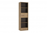 Lentyna EXT-SHE-TYP11