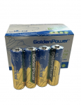 Golden Power LR6/AA Ecototal