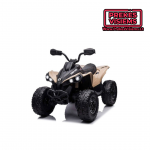 CAN-AM vaiki&scaron;kas akumuliatorinis keturratis 24V 4&times;200W