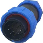 Valdymo jungtis SP21 12 kontaktų vyr.