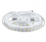 8W/m LED juosta, 60 LED/m, RGB + 4000K, 5 metrų ritė