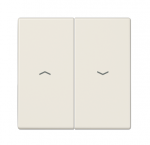 Klavi&scaron;as dvigubo jungiklio, su simboliu "rodyklės", dramblio kaulo sp.