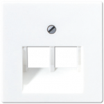 Dangtelis A569-2BFPLUAWW baltas JUNG