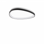 29W LED pavir&scaron;inis &scaron;viestuvas GEMINI, juodas, 3000K