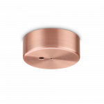 &Scaron;viestuvo lubinis laikiklis, vario sp.