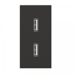 Dvigubas USB lizdas (juodos spalvos, su įkrovimu)