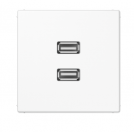 Dvigubas USB 2.0 lizdas, baltas, LS serija