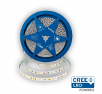 12W/m LED juosta, 168LED/m, 24V, 6500K, IP20, CREE LED chip, 10 metrų ritė