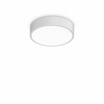 13W LED plafonas RAY, baltas, 3000/4000K, IP44