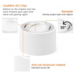 LED pavir&scaron;inis lubinis &scaron;viestuvas plok&scaron;čias 230V 80x50mm