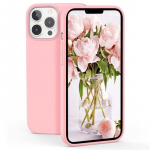 iPhone 13 Pro Max dėklas