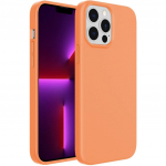 iPhone 13 Pro Max dėklas A