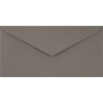 Matinis pilkas vokas DL