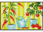 Kilimėlis CHILLATO 50/75 cm