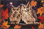 Kilimėlis NIGHT OWLS 50/75 cm