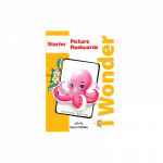 iWonder starter Picture & word flashcards