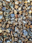 Tiger skin skalda 20/30 mm, 1000kg